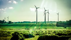 Wind Renewable