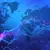World Energy 8