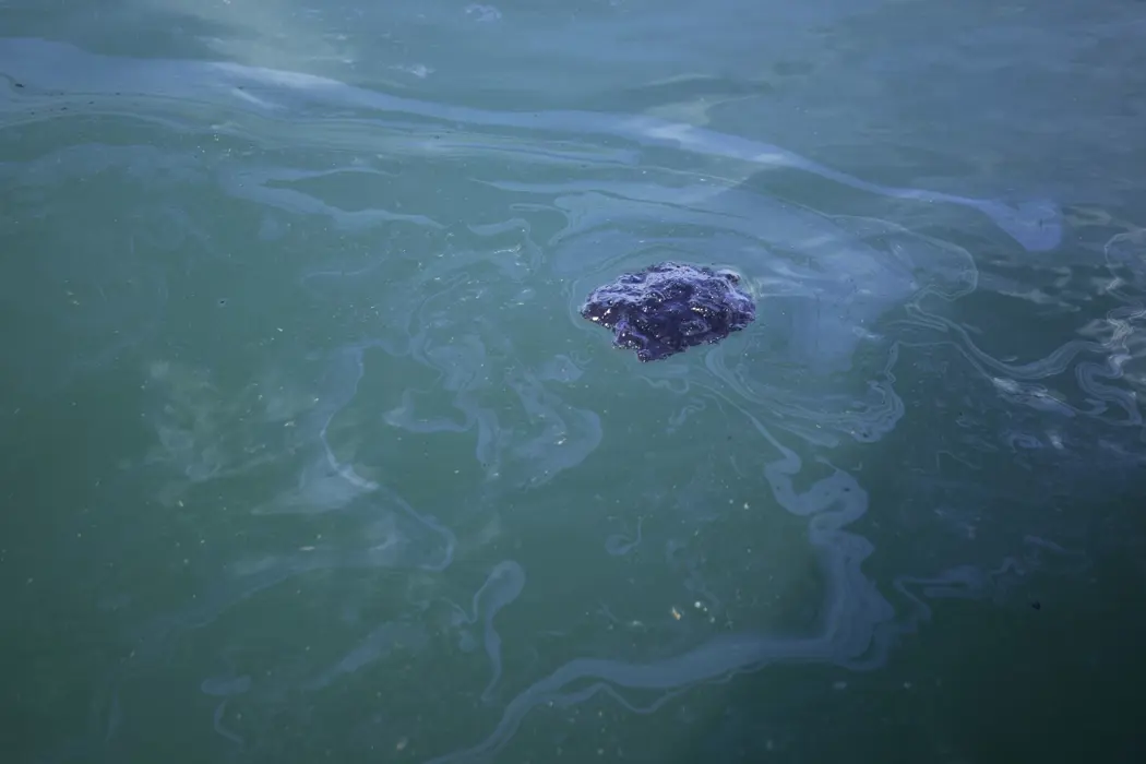 image is BloomburgMedia_R0ON5RT1UM0Y01_09-10-2021_16-00-02_637693344000000000.jpg