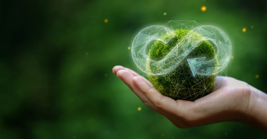 image is Shutterstock 2177764705 image is Shutterstock 2177764705