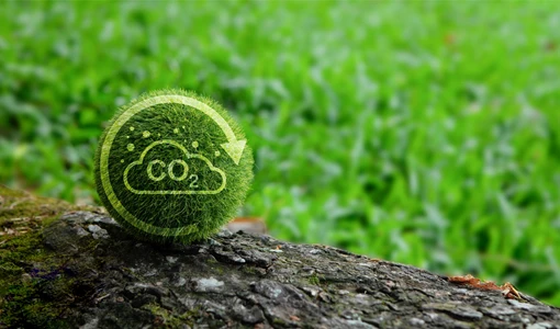 Carbon markets: the difficult balancing act of pricing emissions Towards a Carbon-Neutral Future Applications and Technologies for Achieving a Negative Emissions Factory.jpg