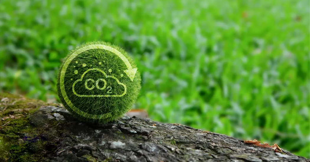 image is Towards a Carbon-Neutral Future Applications and Technologies for Achieving a Negative Emissions Factory.jpg