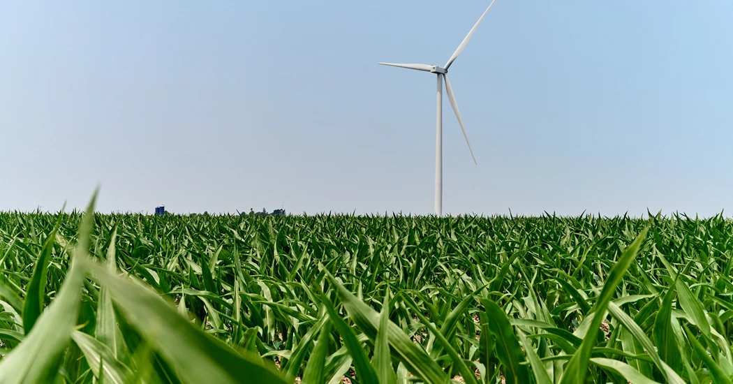 image is FERTIGLOBE LR image is FERTIGLOBE LR