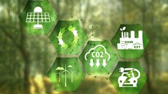 Sustainability
