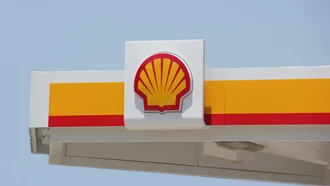 Shell (3)