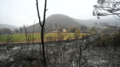 France Contains Wildfire But Heat Wave Set to Intensify BloomburgMedia_T0NY2EGOT0JL00_13-08-2025_19-00-26_638906400000000000.jpg