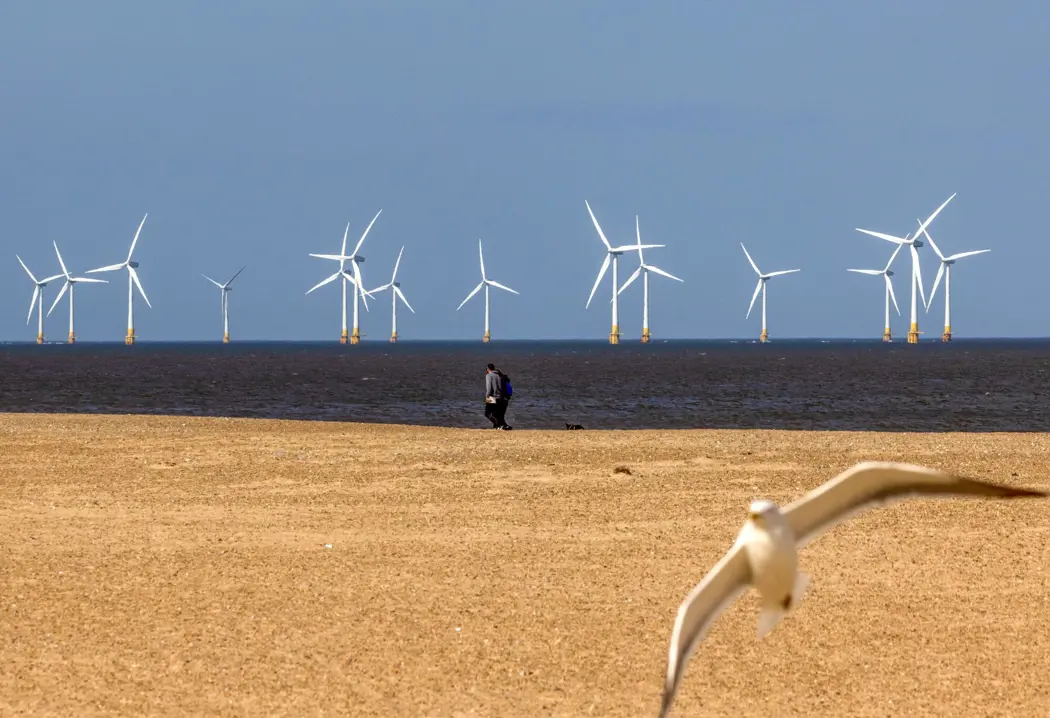 image is BloomburgMedia_SHFV0TDWX2PS00_31-07-2024_09-00-09_638579808000000000.jpg