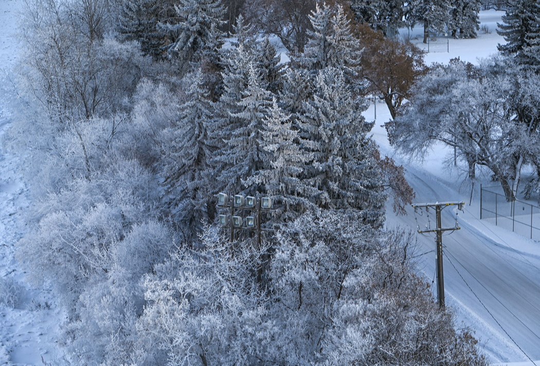 Embrace the Cold: Alberta's Top Winter Destinations