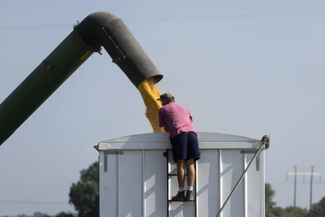 image is BloomburgMedia_SGD56BT0G1KW00_13-07-2024_09-00-09_638564256000000000.jpg