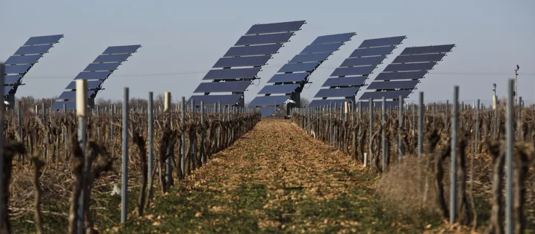 image is BloomburgMedia_QWUN0IT0AFB401_28-07-2021_19-30-33_637630272000000000.jpg