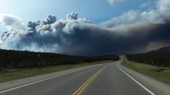 Canadian Wildfires Force Oilsands Evacuations, Stop Oil Flows BloomburgMedia_SX5NS5T0G1KW00_01-06-2025_05-00-23_638843328000000000.jpg