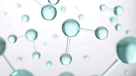 Shutterstock 1141876013