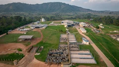 World’s Largest Meat Supplier Seeks Green Credentials for Brazil at COP30 BloomburgMedia_T0U6VVGP9VD000_12-08-2025_05-07-56_638905536000000000.jpg