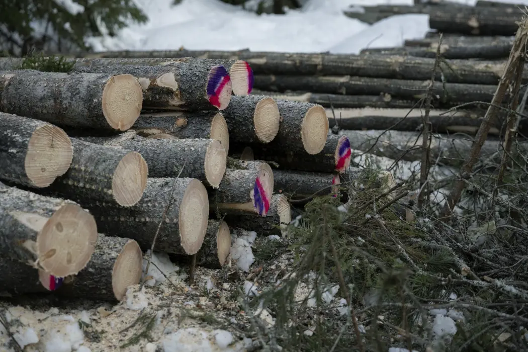 image is BloomburgMedia_T4GXIRGP9VCX00_26-10-2025_08-00-22_638970336000000000.jpg