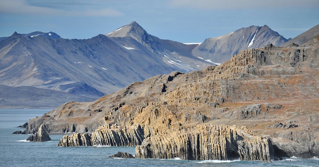 image is Arctic image is Arctic