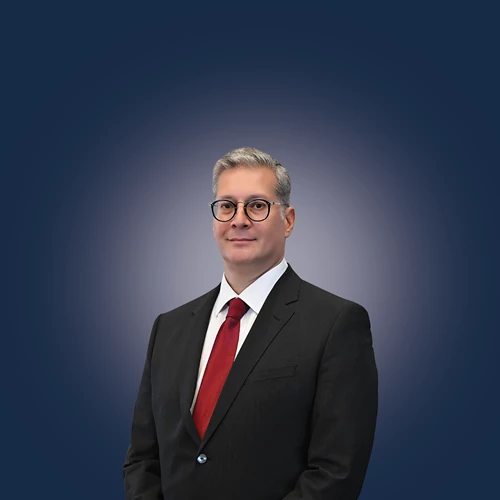 HE Karim Badawi Photo Flag 2 HE Karim Badawi Photo Flag 2