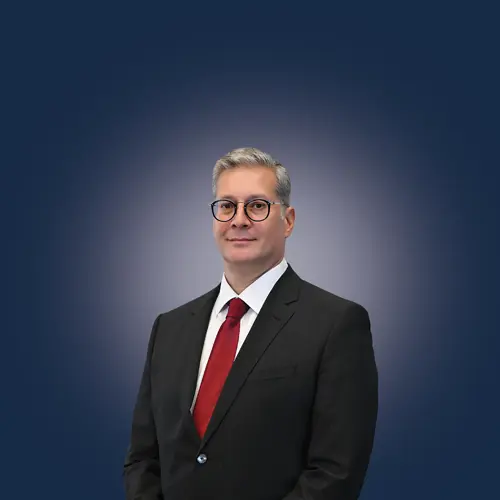 HE Karim Badawi Photo Flag 2