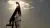 BloombergMedia_TJODBOT9NJLY00_13-08-2026_04-40-55_639221760000000000.jpg