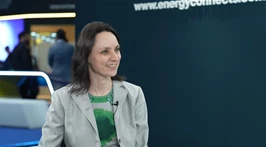 BCG on why flexibility management is critical for energy transition BCG on why flexibility management is critical for energy transition-2043893108