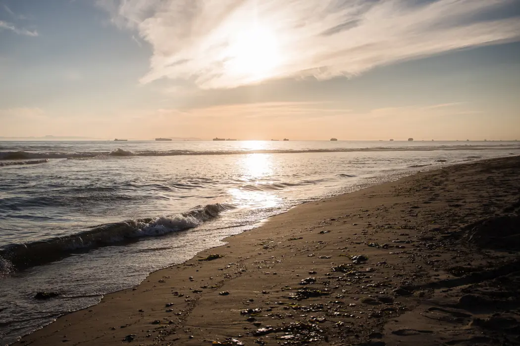 image is BloomburgMedia_SA1KFHDWRGG000_10-03-2024_07-14-18_638456256000000000.jpg