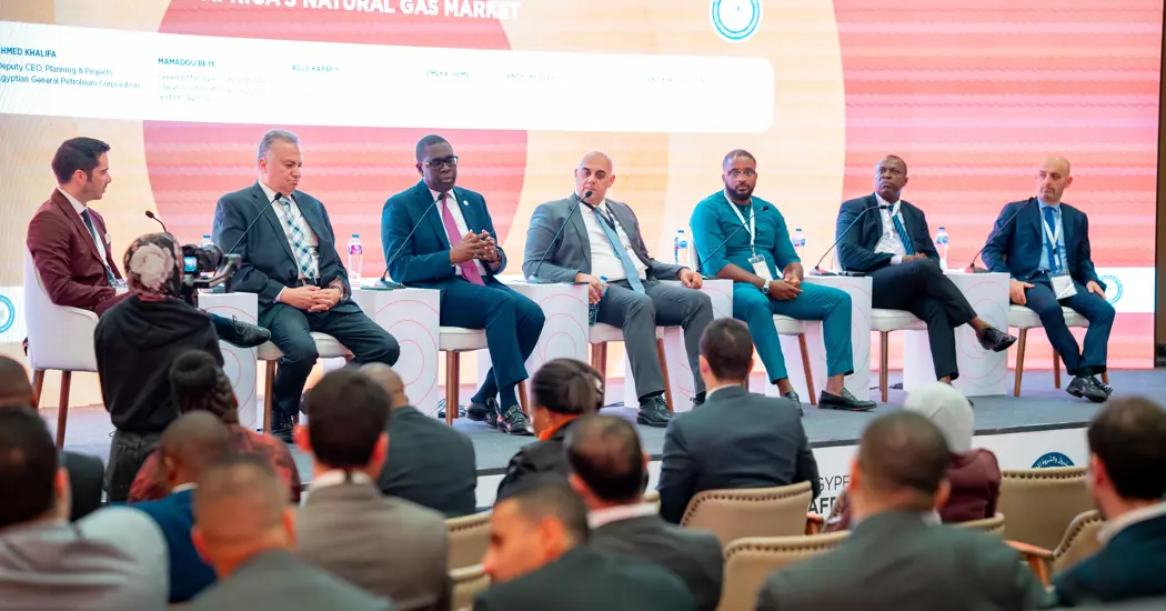 image is HAWILTI EGYPES 24