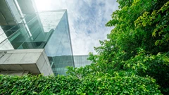 UN tackles carbon credit credibility with new standards Energy and climate policy.jpg