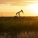 Crude Oil Steady With Trade Talks and Surplus Concerns in Focus BloomburgMedia_T4QHUYGOYMTD00_27-10-2025_04-53-58_638971200000000000.jpg
