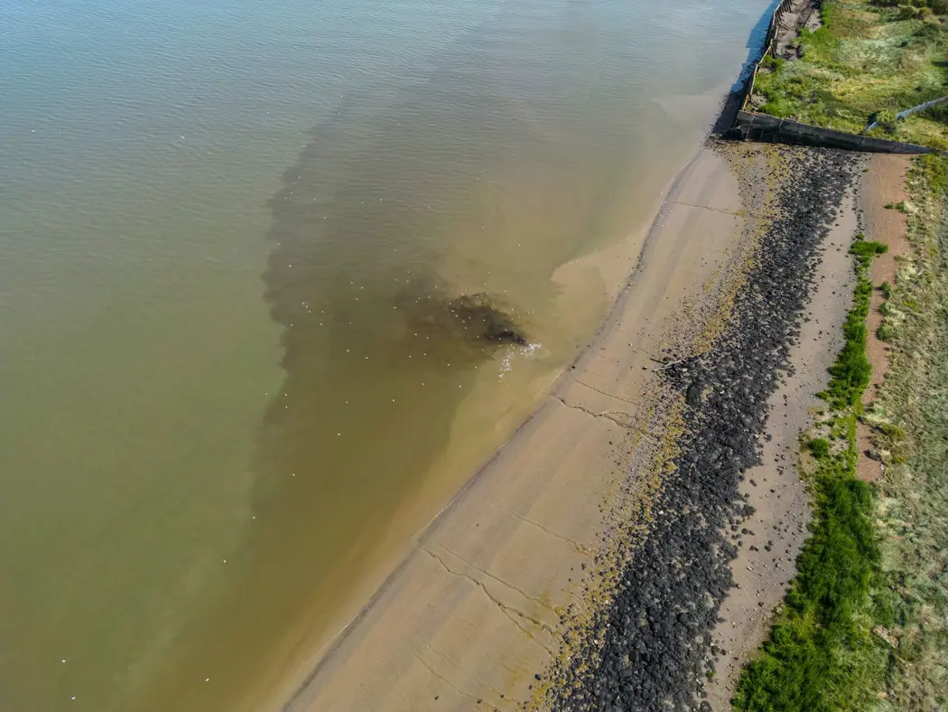 image is BloomburgMedia_S95U9EDWRGG000_21-02-2024_11-00-09_638440704000000000.jpg