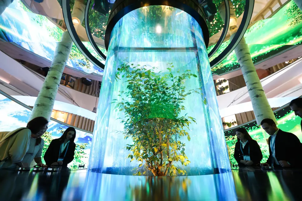 image is BloomburgMedia_SMRVGYDWX2PS00_12-11-2024_06-49-02_638669664000000000.jpg