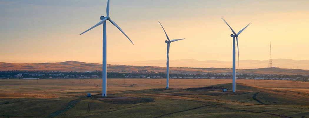 image is Shutterstock 731958250 Shutterstock 731958250