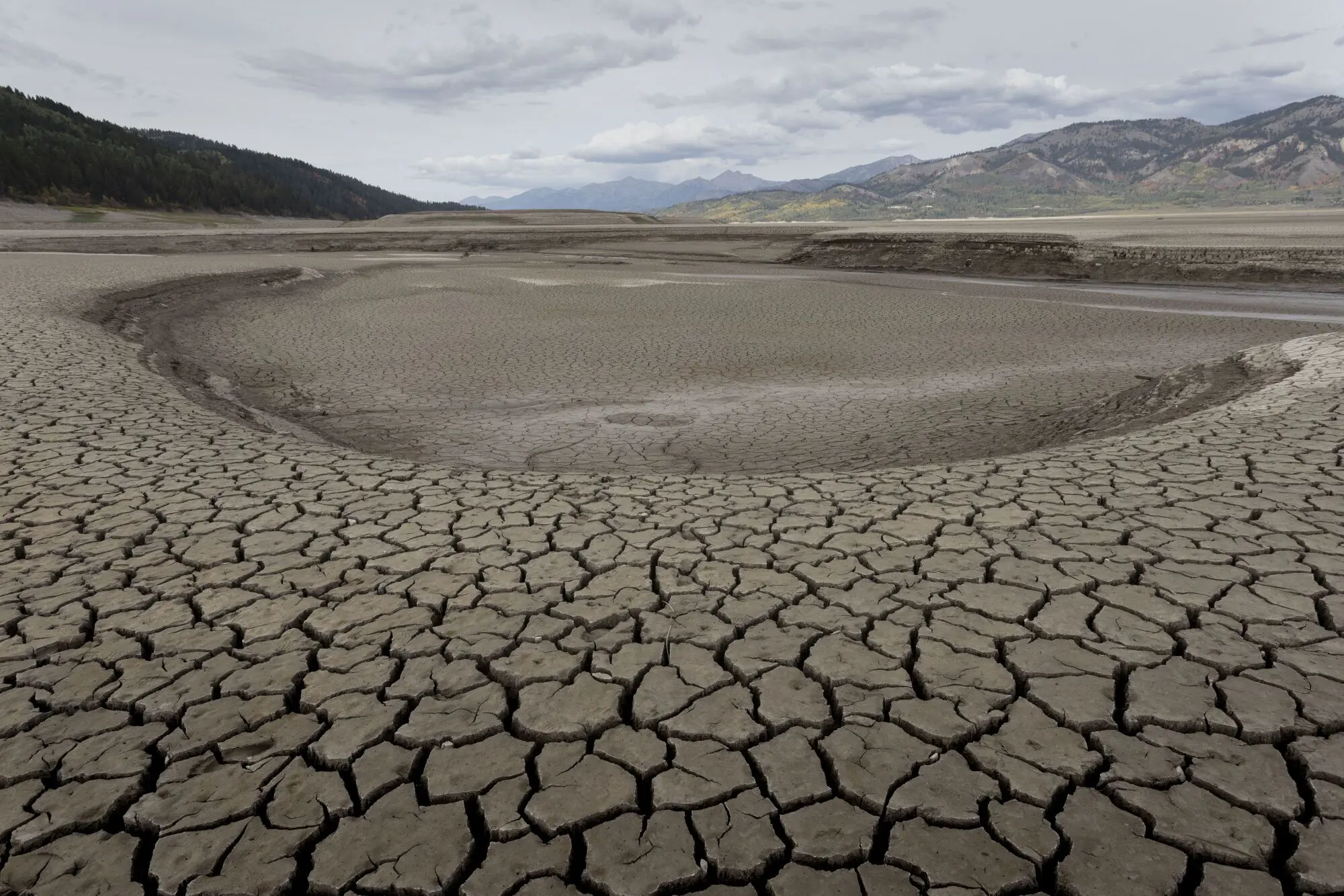 Drought in US Northwest Prompts Energy Agency to Cut