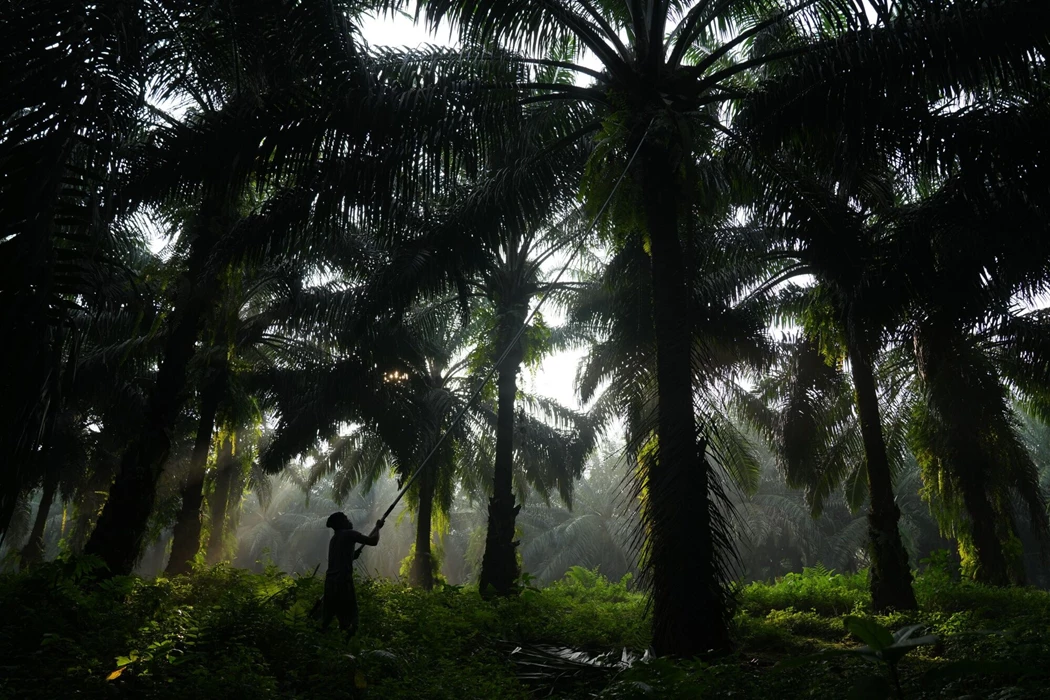 image is BloomburgMedia_RTNT6ET1UM0W01_27-04-2023_15-36-49_638181504000000000.jpg image is BloomburgMedia_RTNT6ET1UM0W01_27-04-2023_15-36-49_638181504000000000.jpg