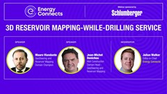 3D Reservoir mapping-while-drilling service